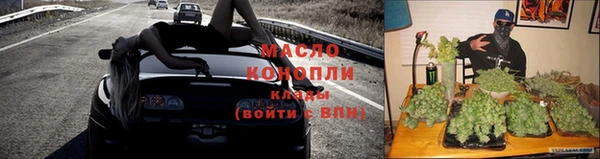 мдпв Богородицк