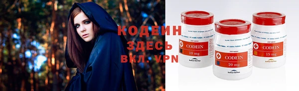 мдпв Богородицк