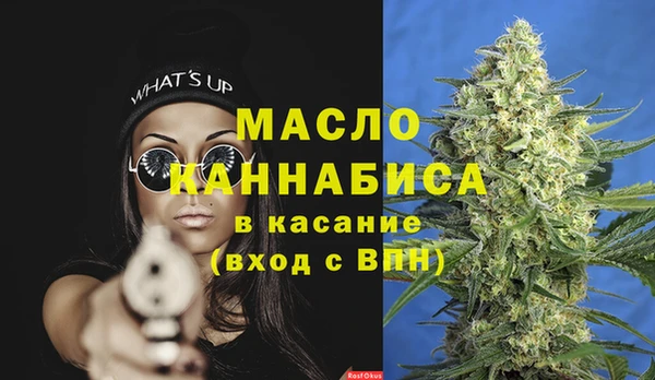 мдпв Богородицк