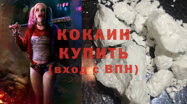 мдпв Богородицк