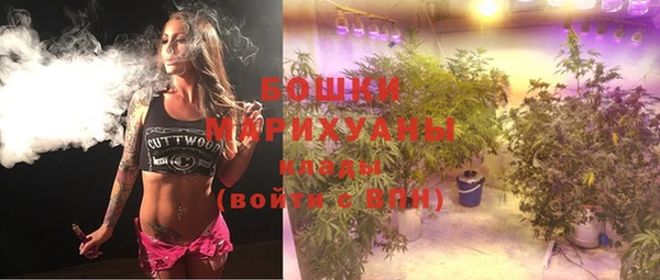 винт Богданович