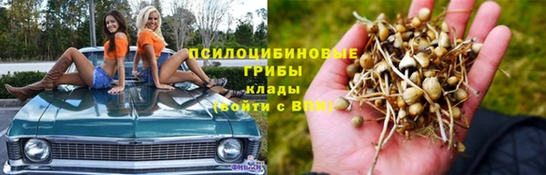 мдпв Богородицк