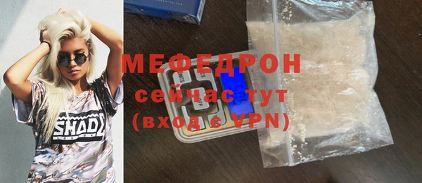 мдпв Богородицк