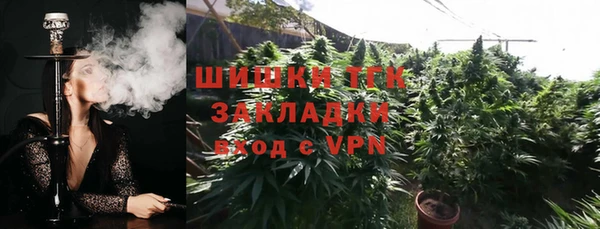 винт Богданович