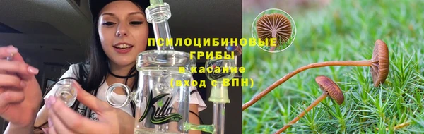 спайс Богородск