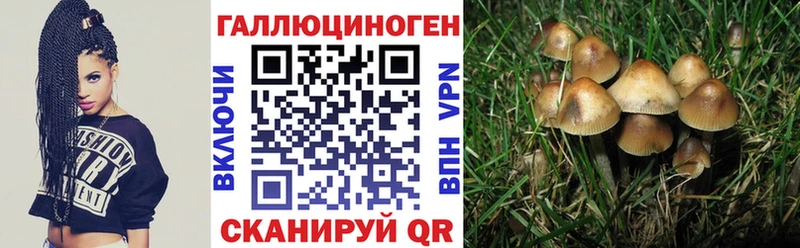 Галлюциногенные грибы MAGIC MUSHROOMS  Кудымкар 