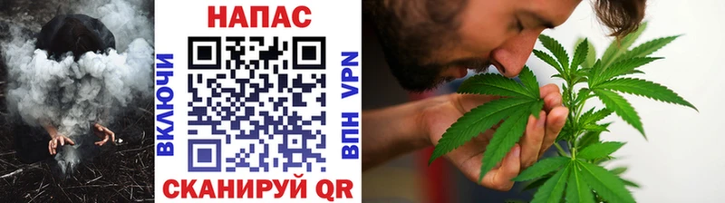 дарнет шоп  Кудымкар  Канабис MAZAR 